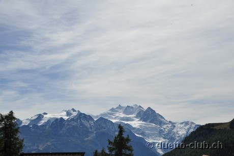 DSC_0147.jpg