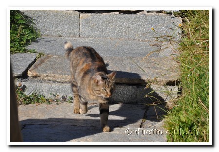 DSC_0144.jpg