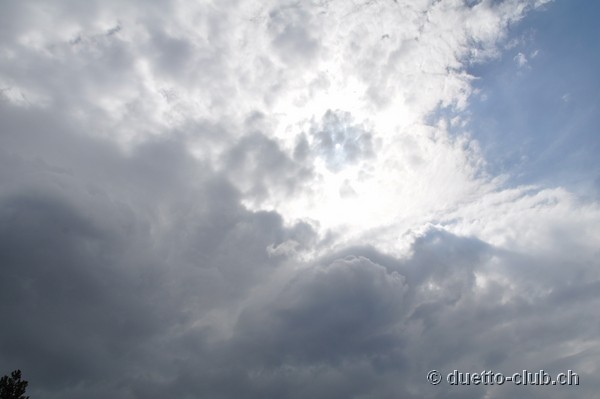 DSC_0155.jpg