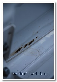 DSC_0023.jpg