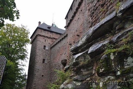 DSC_0477.jpg