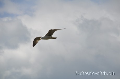 DSC_0275.jpg