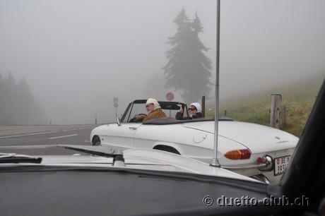 DSC_0050.jpg