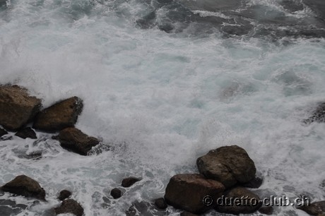 DSC_0297.jpg