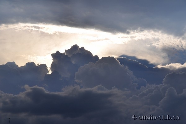 DSC_0264.jpg
