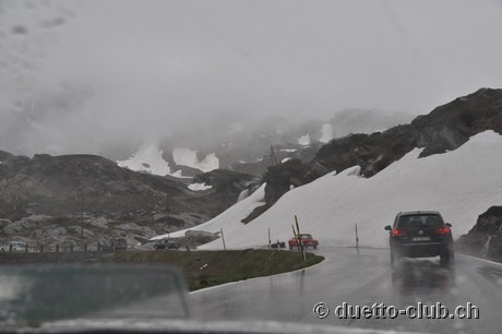 DSC_0239.jpg