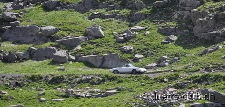 DSC_1226.jpg