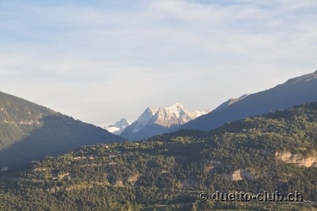 DSC_0264.jpg