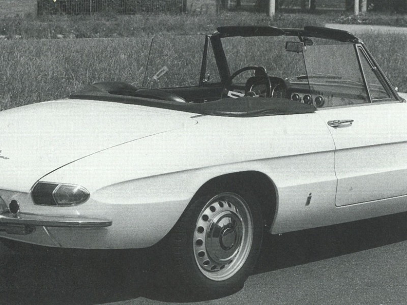 spider1600-1.jpg
