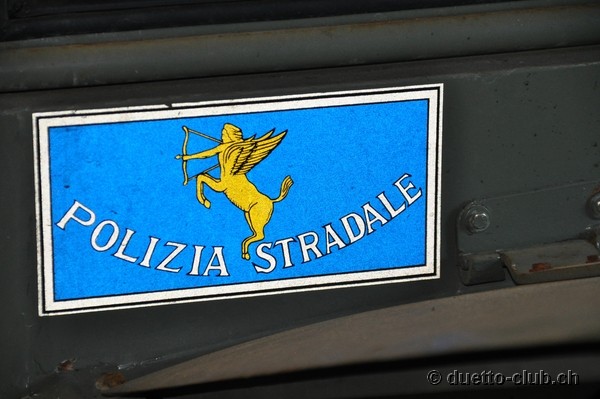 DSC_0231.jpg