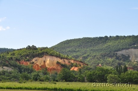 DSC_0519.jpg