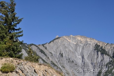 DSC_0484.jpg
