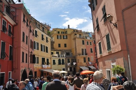 DSC_0262.jpg