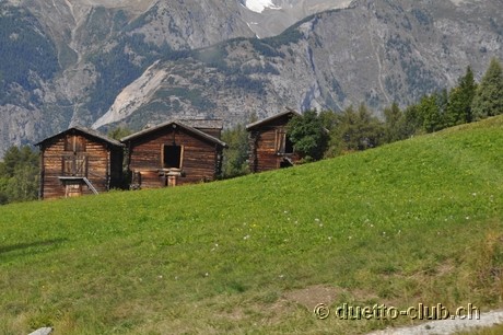 DSC_0206.jpg