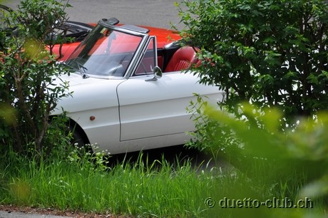 DSC_0273.jpg