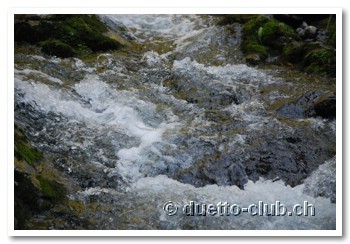 DSC_0333.jpg