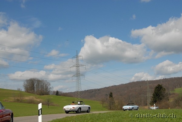 DSC_6648.jpg