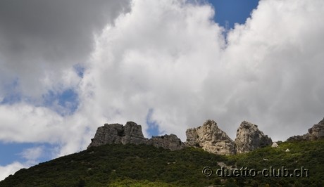 DSC_0724.jpg