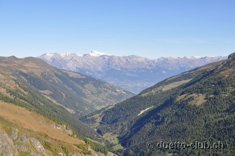 DSC_0395.jpg