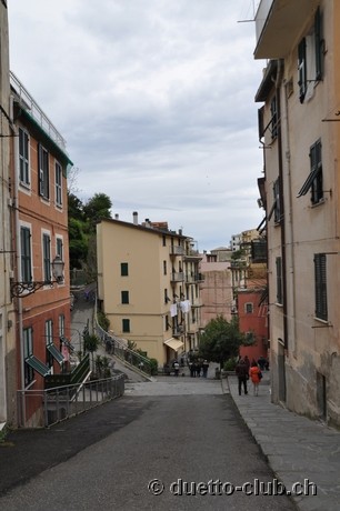DSC_0178.jpg