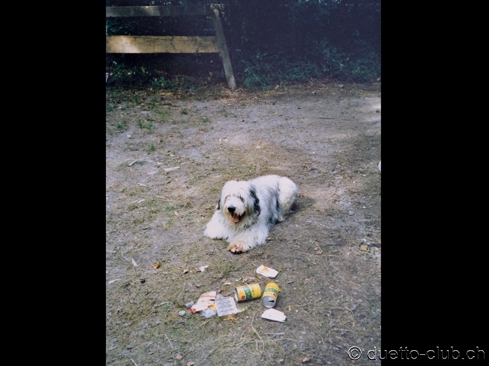 1987-tessin-02-quer.jpg