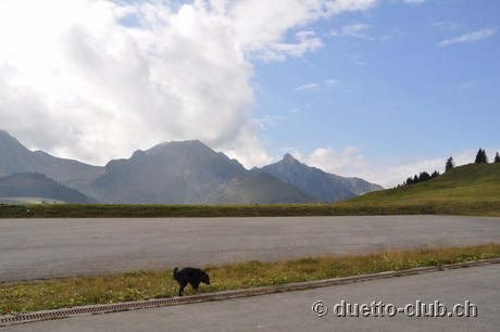 DSC_0069.jpg