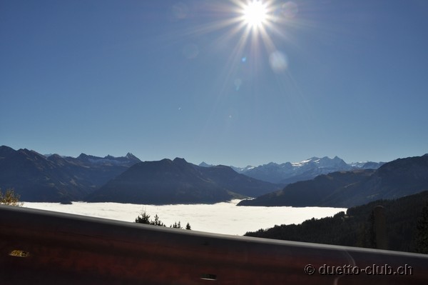DSC_0034.jpg