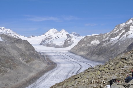 DSC_0055.jpg
