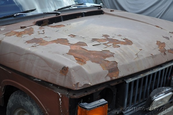 DSC_0172.jpg
