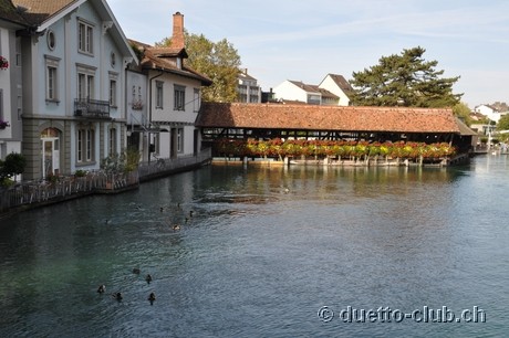 DSC_0259.jpg