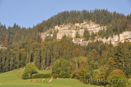 DSC_0028.jpg