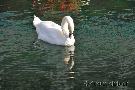 DSC_0266.jpg
