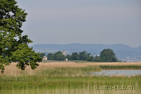 DSC_0055.jpg