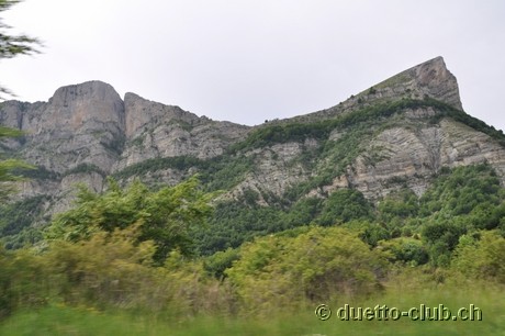 DSC_0355.jpg