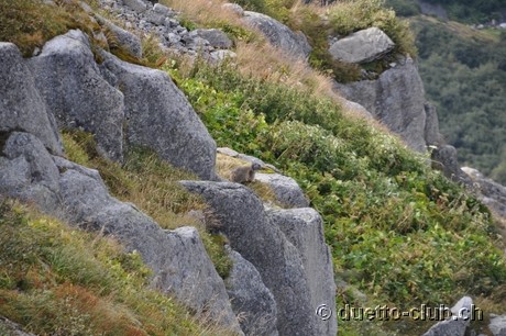 DSC_0039.jpg