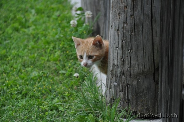 DSC_0202.jpg