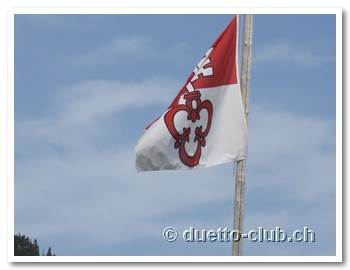CIMG3485.jpg