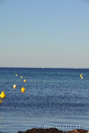 DSC_0949.jpg