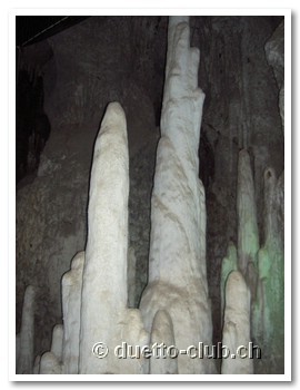 PICT2779.jpg