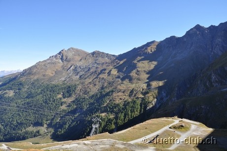 DSC_0372.jpg
