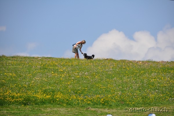 DSC_0108.jpg