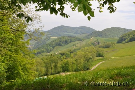 DSC_0270.jpg