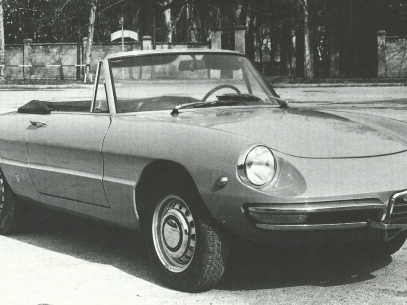 spider1750-2.jpg