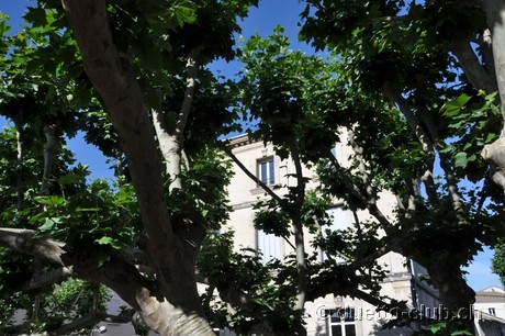 DSC_0412.jpg