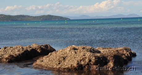 DSC_0924.jpg