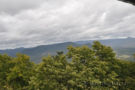 DSC_0474.jpg