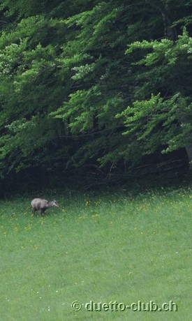DSC_0294.jpg