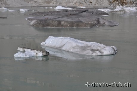 DSC_0038.jpg