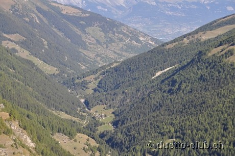 DSC_0432.jpg