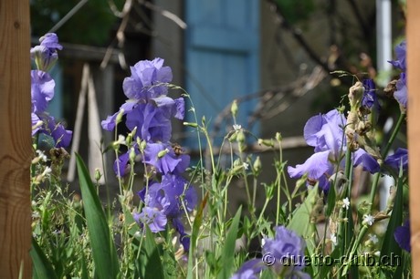 DSC_0608.jpg